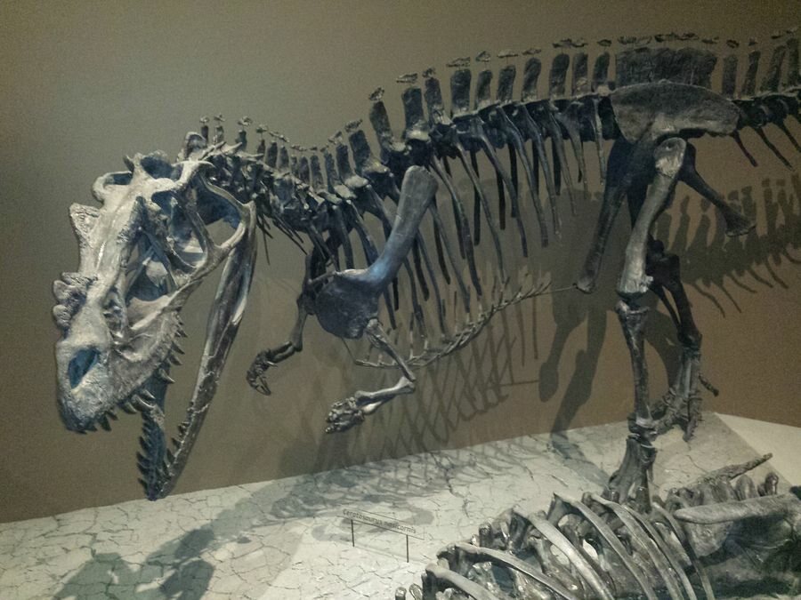 Click to See Next Image